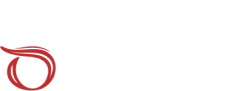 logo img